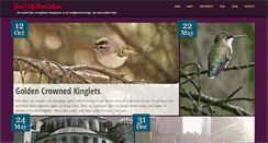 Desktop Screenshot of jewlofthelotus.com